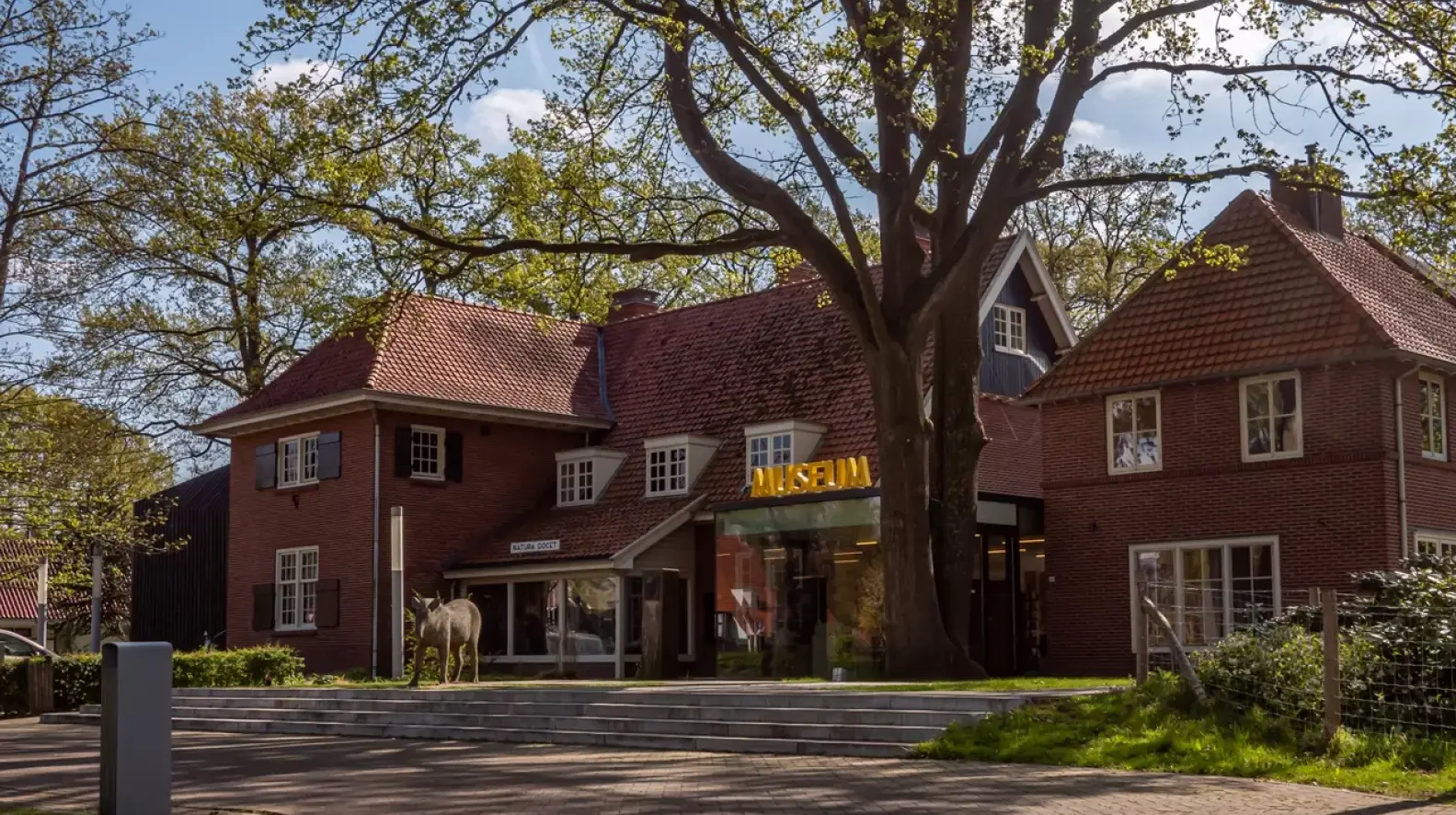 Musea bezoeken