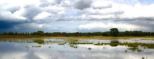 De Bergvennen